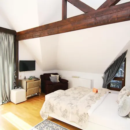 Guest house Belleseat Boutique Sinaia